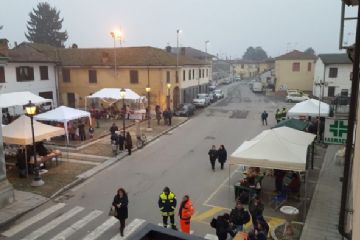 Sfoglia la galleria