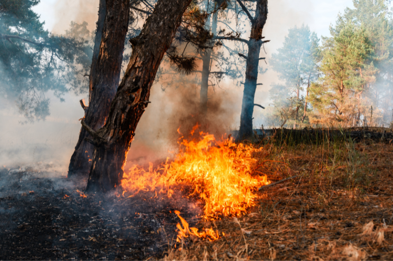 incendio